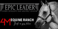 Epic Leader